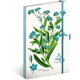 Keménytáblás notesz krémszínű lapokkal leszorító gumiszalaggal Herbarium 130x210mm, Presco